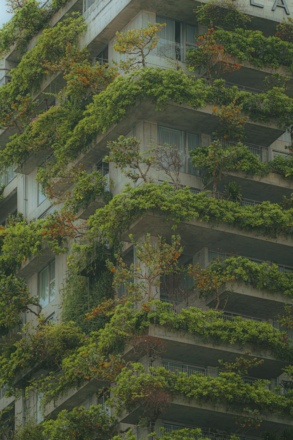 Inertia image. © Pexels